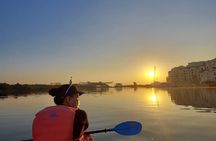 Abu Dhabi mangrove kayaking tour