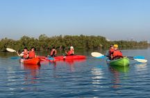 Abu Dhabi mangrove kayaking tour