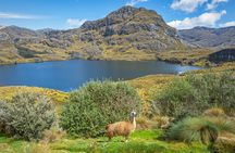 Cajas National Park hiking excursion