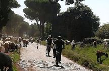 Appian Way and Aqueducts Park E-Bike Tour with Catacombs and Lunch Box