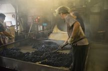 Singapore's disappearing trades tour