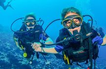 Scuba dive trip with transfer from Dubai