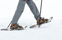 Private Tromsø snowshoeing tour with a TeslaX car ride