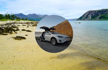Private fjord tour from Tromsø in a TeslaX car