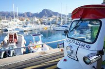 Costa Adeje ecological tuk tuk tour