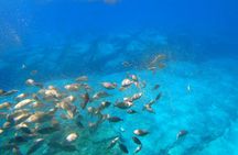 Two-hour Submarine tour of Lindos and Swim at Navarone's bay