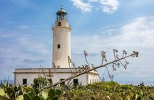 Private Formentera Tour with Beach-side Lunch