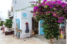 Private Formentera Tour with Beach-side Lunch