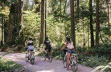 Vancouver epic electric cycling tour