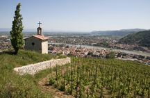 Northern Rhône cheese and wine tour from Lyon