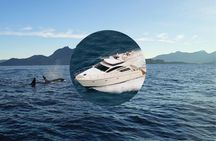 Private luxury whale watching safari from Tromsø