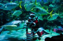Private family tour of nature, birds and butterflies in Kuala Lumpur