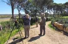 Formosa lagoon half-day birdwatching tour