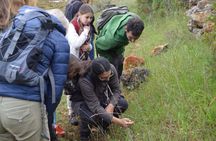 Orchid-watching tour in Algarve