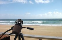 Alvor lagoon birdwatching tour
