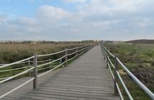 Lagoa dos Salgados half-day birdwatching tour