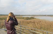 Lagoa dos Salgados half-day birdwatching tour