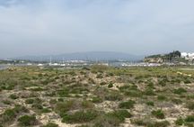 Alvor dunes birdwatching tour