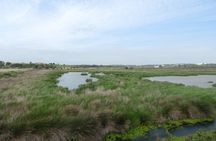Abicada lagoon half-day tour
