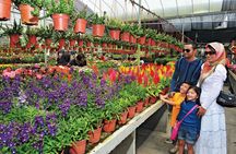 Private nature trip to Cameron Highlands from Kuala Lumpur
