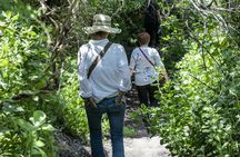 Garden Route 4-day tour from Port Elizabeth to Cape Town