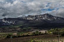 Winery visit in La Rioja with tasting and lunch from Vitoria