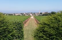 Half-day trip to Saint-Emilion wine estates from Bordeaux