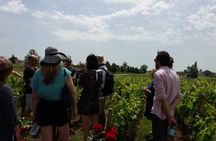 Half-day trip to Saint-Emilion wine estates from Bordeaux