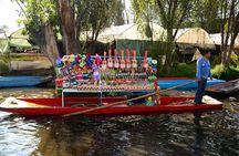 Mexico City and Xochimilco Guided Tour