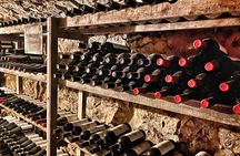 Discover Valpolicella with a winemaker
