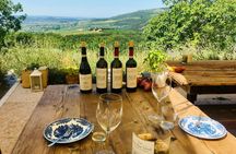 Private truffle hunting with local wine and food tasting