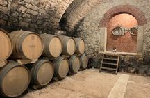 Valpolicella private tour with olive oil tasting