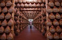 Parma food excellence private tour from Bologna