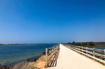 Faro and Ria Formosa bike tour