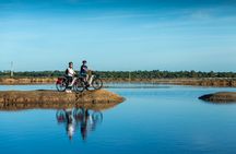 Faro and Ria Formosa bike tour