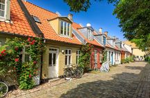 Introductory walking tour of Aarhus with a local