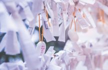 Guided walking tour in Tokyo - Japan’s cultural curiosities