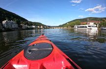 Guided kayak tour on the Neckar in Heidelberg