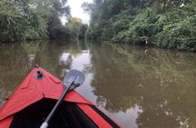 Guided kayak tour on the Neckar near Ladenburg