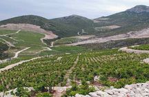 Private day tour to Korčula and Ston from Dubrovnik