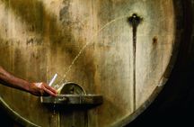 Cider house tour in San Sebastián