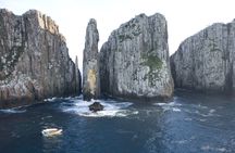 Tasman Island Cruises from Hobart with Port Arthur visit