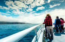 Wineglass Bay cruises Including Sky Lounge adult access