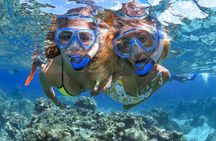 Great Barrier Reef Snorkeling and Diving Cruise