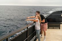 Guaranteed Whale Watching in San Diego