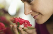 Walking tour of Granada and its perfumes