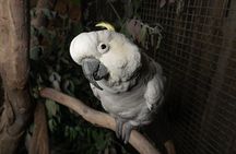 Bonorong Wildlife Sanctuary Night Tour