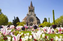 Exclusive private guided tour through the architecture of Basel with a local