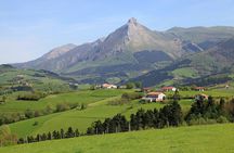 Idiazabal Basque cheese tour from San Sebastian