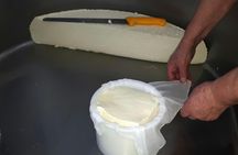 Idiazabal Basque cheese tour from San Sebastian